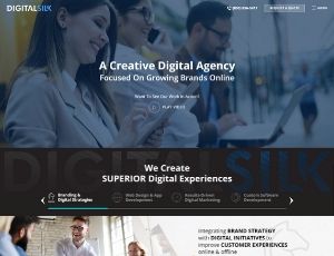 digital-silk-website